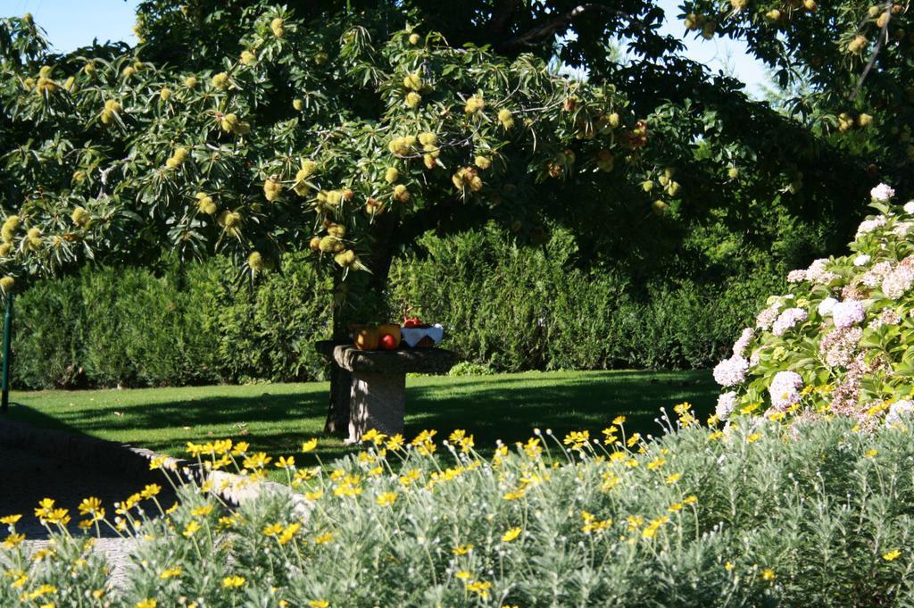 Отель Quinta D'Arroteia Визеу Экстерьер фото